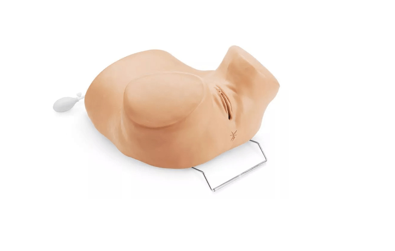 GYN/AID Gynäkologischer Simulator - Erler - Zimmer